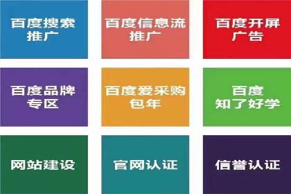 知名SEM运营公司实战案例解析